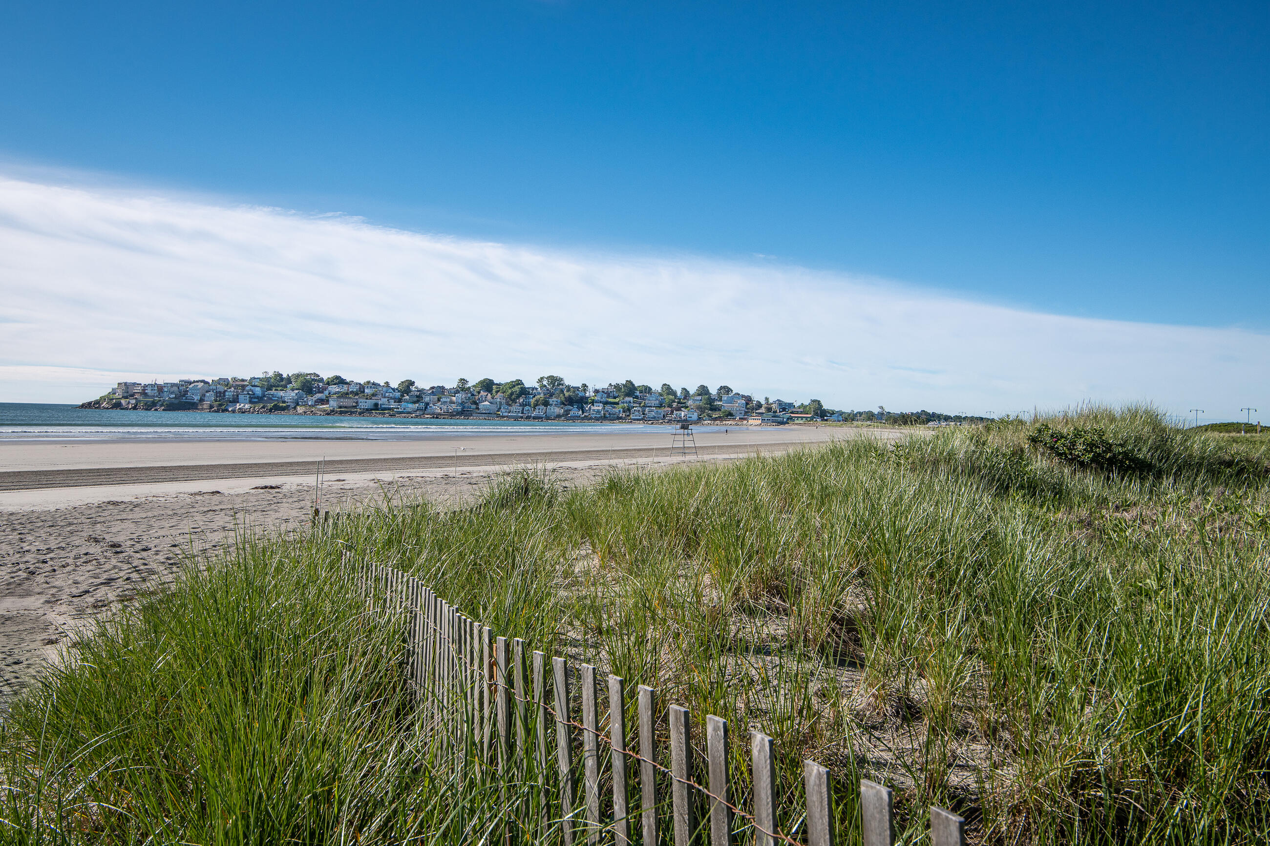 A photo of the Nahant Beach Shoreline. There's a little wooden plank fence in some grass in the foreground, and there are buildings across the water, further down the curve of the beach
