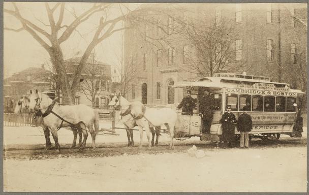 horse drawn carriages in boston